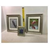3 Framed Wildlife and Floral Prints