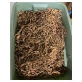 Plastic Bin Containing Preserved Moss