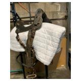 Antique Leather Cavalry Saddle with Accessories