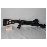 Gun