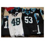 7 Unauthenticated adult Panthers Jersey