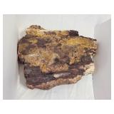 PETRIFIED WOOD TREE PART 6