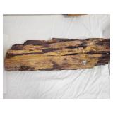 PETRIFIED WOOD TREE PART 7