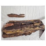 PETRIFIED WOOD TREE PART 2