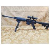 FIREARM/GUN PLUM CRAZY C-15 !! R501