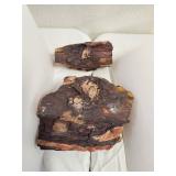 PETRIFIED WOOD TREE PART 5