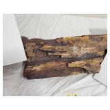 PETRIFIED WOOD TREE PART 3