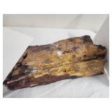 PETRIFIED WOOD TREE PART 4