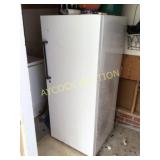 Stand up freezer (does work)