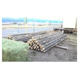 Lodge Pole Fence Rails
