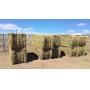 Small Animal, Hay & Consignment Auction