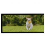 24" x 10" Neil Enterprises 24 x 10 Panoramic Fra