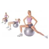 55cm 55" Premium Stability Fitness Ball, Gray ***B 55cm 55" Premium Stability Fitness Ball, Gray ***B
