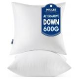 MIULEE THROW PILLOWS INSERTS, PACK OF 2 20X20 INCH
