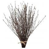 17 INCH NATURAL BIRCH BRANCHES DRIED BIRCH TWIGS W