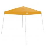 10' X 10' SLANT LEG CANOPY