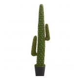 $123 INDOOR 4.5 FT. CACTUS ARTIFICIAL PLANT