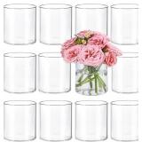 TBWIND 12PCS SMALL GLASS CYLINDER VASES FOR CENTER