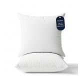 DELARA 18X18 THROW PILLOW INSERTS SET OF 2 - ORGAN