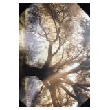 FOREST PRINTED PAINTING