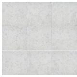 (x 462) SQ. FT. FUSION 16 IN. X 32 IN. MATTE TILE