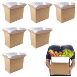 6 PACK INSULATED SHIPPING BOX FOR SHIPPING FROZEN