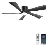 OHNIYOU 52  LOW PROFILE CEILING FAN WITH LIGHTS, R