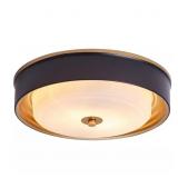 13.2 IN. 2-LIGHT BLACK FLUSH MOUNT CEILING LIGHT W
