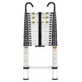 $170 RIKADE TELESCOPIC LADDER, 20.3 FT ALUMINUM TE