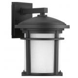 $162 WISH COLLECTION 1-LIGHT TEXTURED BLACK ETCHED