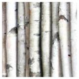 DECORATIVE WHITE BIRCH POLES 4 FT. IN LENGTH 1.5-2
