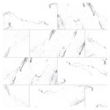 448SF MSI BRILLION ASPEN GRIS 12 IN. X 24 IN. MATT