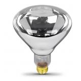 FEIT 250W BR40 CLEAR REFLECTOR LAMP (6-PACK)