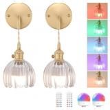 SHENMOYL BATTERY OPERATED WALL SCONCE WITH CLEAR T