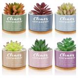 LEMONROAD 12 PCS COORDINATOR GIFT SUCCULENT POTS S