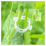 1 LOT (4) SECURED PLASTIC PLANT CLIP, PLANT SUPPOR