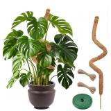 PLANT STICKS SUPPORT TALL ï¿½ LARGE MOSS POLE MONSTE