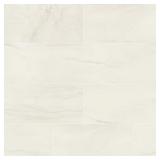 192SF MSI ALEXANDRA WHITE 12 IN. X 24 IN. MATTE PO