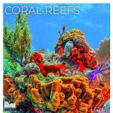 1 LOT (3) 2027 CORAL REEFS WALL CALENDAR, 12 X 24