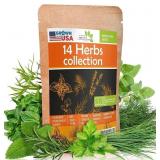 1 LOT OF 3-14 CULINARY HERB SEEDS PACK - HEIRLOOM
