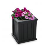 MAYNE SQUARE 12-IN W MEDIUM BLACK RESIN OUTDOOR PL