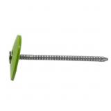 1 IN. (2D) ELECTRO GALVANIZED RING SHANK NAIL WITH