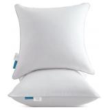OUBONUN 18"X18" PILLOW INSERTS (SET OF 2) - THROW