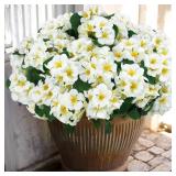 HANANONA 12 PCS ARTIFICIAL GERANIUM FLOWERS FOR OU
