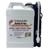 1-GALLON READY TO USE GRASS PAINT, SHAKE AND SPRAY