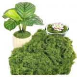 1 LOT OF 3-FAKE GREEN MOSS FOR PLANTS INDOOR, 5.3O