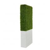 $478 65 IN. H TALL BOXWOOD HEDGE TOPIARY WITH REAL