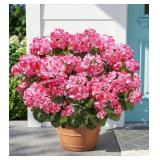 FAKE GERANIUMS ARTIFICIAL FLOWERS FOR OUTDOORS OUT