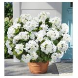 1 LOT OF 2-FAKE GERANIUMS ARTIFICIAL FLOWERS FOR O