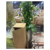 1 LOT (2) ASST TREES